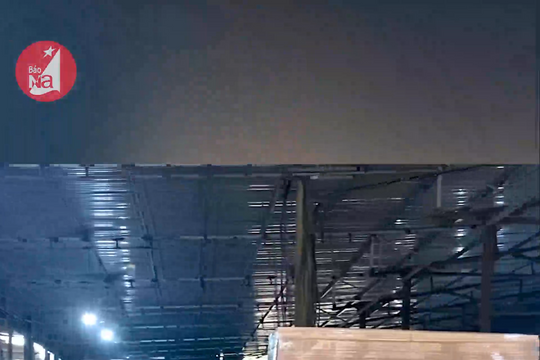 Lý giải nguyên nhân giá keo lai giảm mạnh