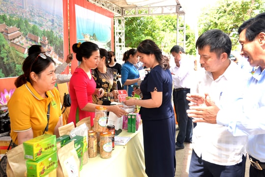 Đề xuất 9 nhóm giải pháp phát triển hợp tác xã góp phần xây dựng nông thôn mới