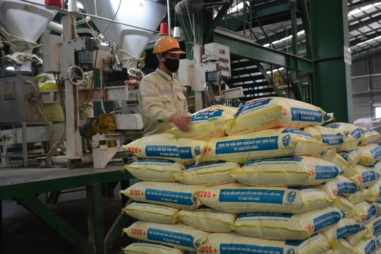 Phê duyệt Đề án phát triển công nghiệp chế biến thức ăn chăn nuôi