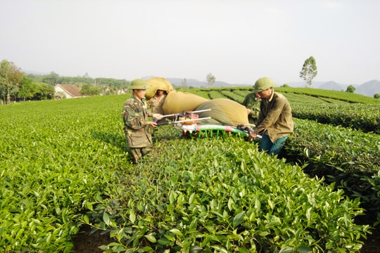 Đồng bào công giáo huyện Anh Sơn sống tốt đời, đẹp đạo