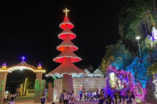 Cây thông Noel gắn hàng triệu vỏ nhuyễn thể biển ở Nghệ An được công nhận kỷ lục Việt Nam