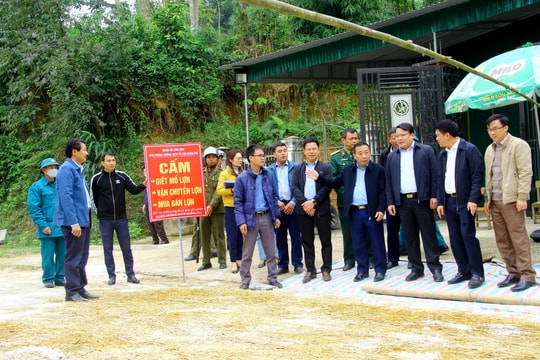 Phó Chủ tịch UBND tỉnh chỉ đạo các địa phương quyết liệt dập dịch tả lợn châu Phi