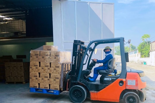 Nghệ An linh hoạt tìm kiếm thị trường xuất khẩu