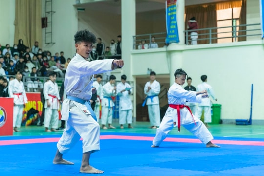 Hơn 500 vận động viên đến từ 31 đơn vị trường học tham gia tranh tài tại Giải Karate