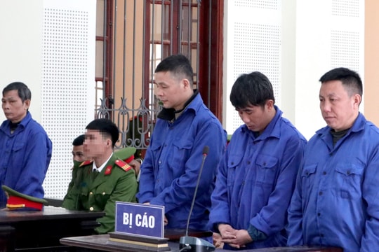 Đường dây mua bán ma túy liên tỉnh hình thành sau cuộc gặp gỡ với 'ân nhân'