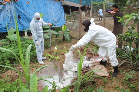Nghệ An cấp hơn 25.000 lít hoá chất phòng dịch tả lợn châu Phi