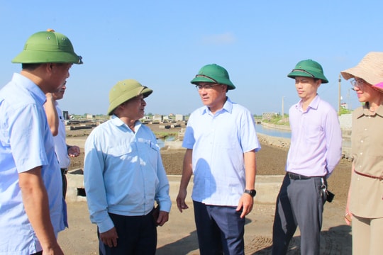 Hoạt động Hội đồng nhân dân tỉnh Nghệ An và tính hiệu quả, sự gợi mở