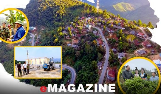 Bài 2: Nghỉ việc do áp lực mưu sinh