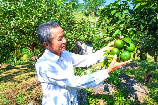 Chuyện người đàn ông dân tộc Thái vào đảng ở tuổi 59