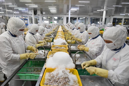 Ngày làm việc cuối cùng của năm, Bộ Nông nghiệp báo loạt kỷ lục mới