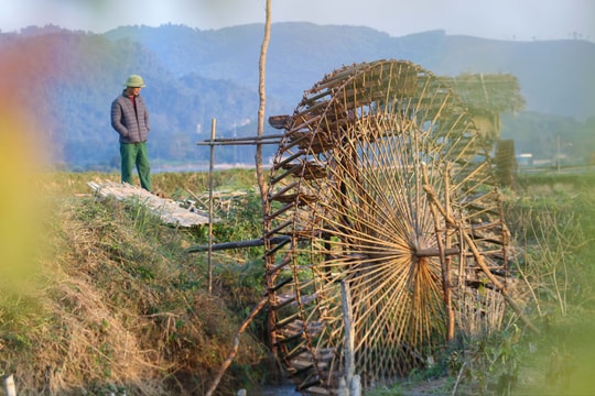 Người Thái Quỳ Châu vào 'mùa' làm cọn nước
