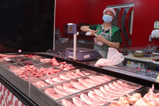 Người tiêu dùng Nghệ An không lo thiếu nguồn cung thịt lợn 