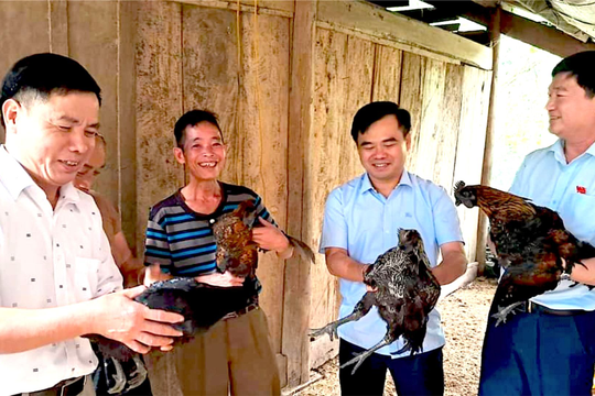 Kỳ Sơn vận dụng thế mạnh phát triển kinh tế