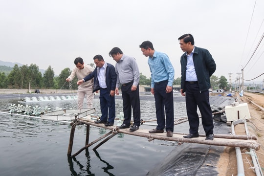 Phó Chủ tịch UBND tỉnh gợi mở phát triển kinh tế từ nuôi biển 