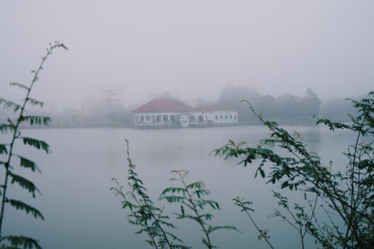 Dự báo thời tiết Nghệ An ngày 8/1: Sáng sớm và đêm có mưa nhỏ vài nơi, trưa nắng