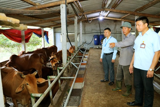 Đề án mới của Chính phủ về đẩy mạnh hoạt động khoa học và công nghệ ngành chăn nuôi