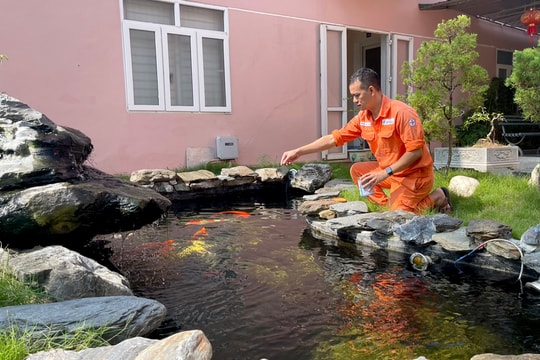 'Công viên xanh' trong lòng Nhà máy Thủy điện Bản Vẽ 