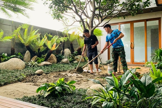 Dương xỉ cổ đại - thú chơi cây cảnh độc, lạ ở Nghệ An 