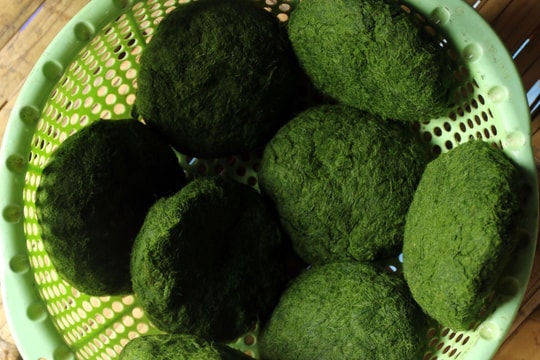 Đặc sản làm từ rêu đá của người dân xứ Nghệ