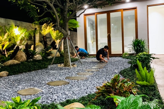 Thợ làm vườn Nghệ An 'quá tải' đơn hàng cuối năm