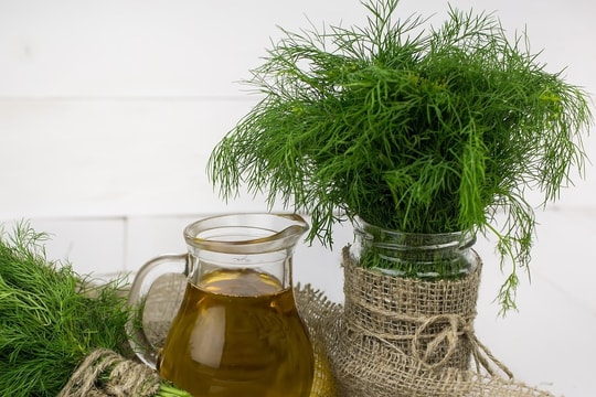 10 loại cây gia vị phổ biến giúp chữa bệnh