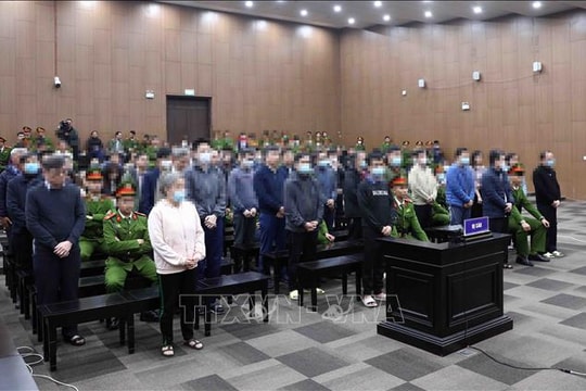 Phân hóa vai trò, hành vi để có hình thức xử lý phù hợp với các bị cáo trong vụ Việt Á