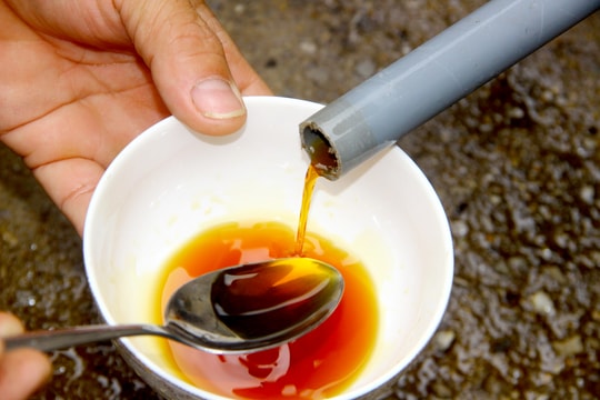 Làng nước mắm ở Quỳnh Dị vào vụ Tết 