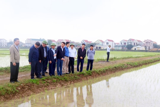 Phó Chủ tịch UBND tỉnh Nguyễn Văn Đệ kiểm tra sản xuất vụ xuân tại các địa phương 