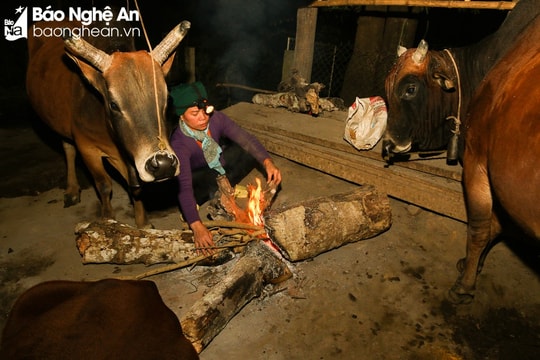 Nghệ An chủ động ứng phó với rét đậm, rét hại và gió mạnh trên biển