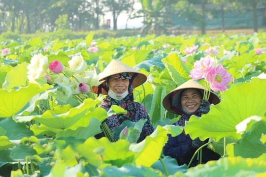 Điểm nhấn ở các xã nông thôn mới kiểu mẫu của Nghệ An