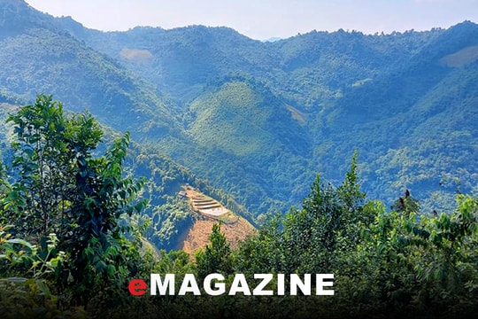 Dự án khai thác vàng trên núi Pu Phen nằm trong khu vực nhạy cảm về môi trường!