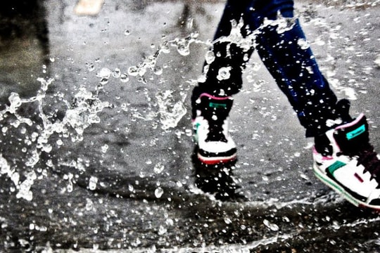 Nhảy múa trong cơn bão