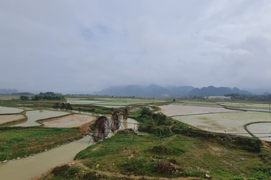 Nông dân Quỳ Châu vượt khó, chạy đua với thời vụ