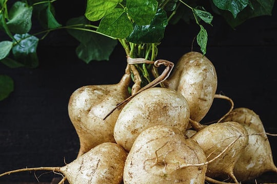 Cách sử dụng củ đậu giải độc rượu, làm mờ tàn nhang