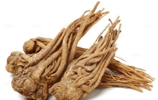 Món ăn bài thuốc giảm đau nhức xương khớp khi trời lạnh