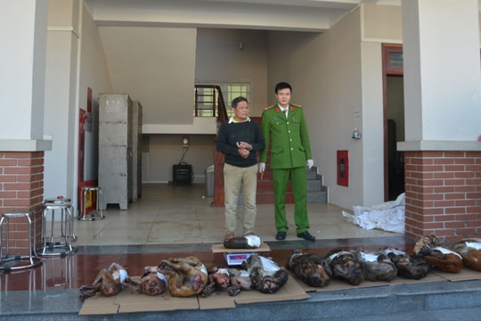 Bắt quả tang đối tượng mua bán trái phép động vật hoang dã, nguy cấp, quý hiếm với số lượng lớn