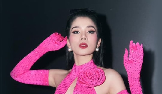Lệ Quyên 'mất điểm' vì phản ứng nặng nề với fan