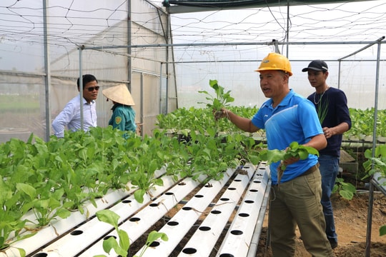 Khuyến khích nông dân sáng tạo để đưa nghị quyết các cấp vào cuộc sống