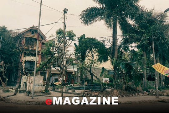 Cần xử lý kịp thời việc vi phạm đất công cộng