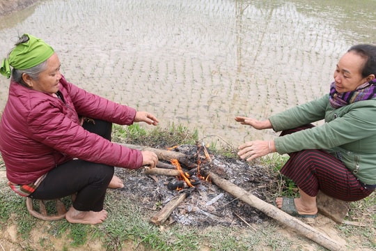 Nông dân vùng cao Nghệ An đốt lửa trên bờ, tranh thủ sưởi ấm giữa buổi cấy lúa