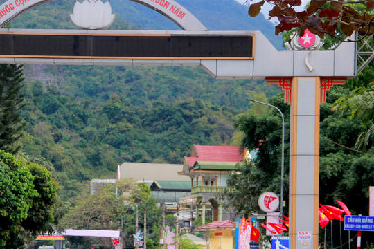 Vì sao năm nay phố núi Kỳ Sơn vắng bóng đào đá?