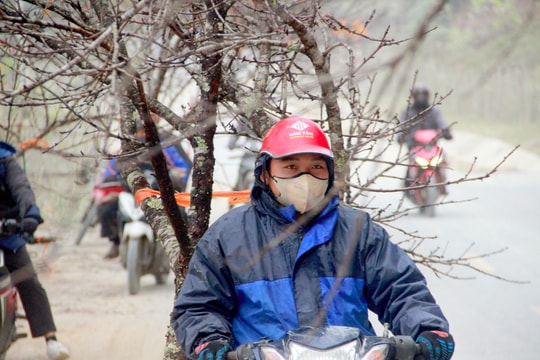 Không khí lạnh tăng cường, ngày 27/1, Nghệ An có mưa rải rác, trời rét đậm, rét hại