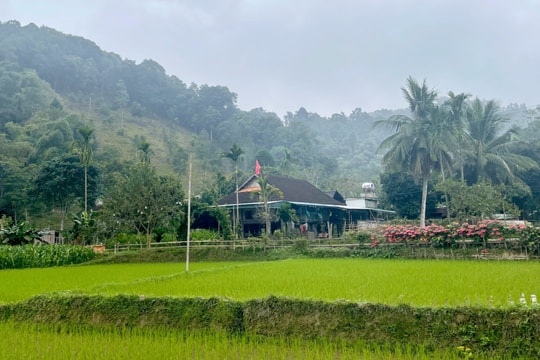 Trước thềm Xuân, nghe chuyện người Đan Lai đổi mới 