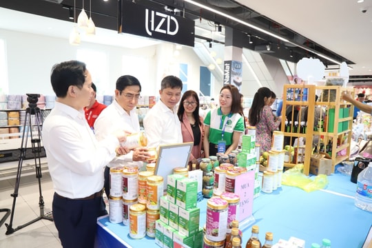 Trung tâm xúc tiến Đầu tư Thương mại và Du lịch Nghệ An: Hỗ trợ đắc lực cho thu hút đầu tư và tiêu thụ sản phẩm