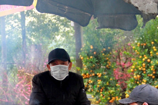 Người bán hoa, cây cảnh Tết đốt lửa sưởi ấm, chờ khách giữa trời giá rét