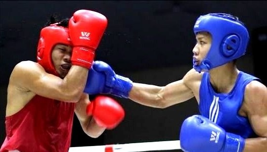 Chàng trai miền Tây xứ Nghệ và hành trình đạt 3 Huy chương Vàng toàn quốc