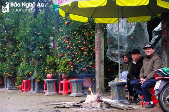 Thời tiết Nghệ An ngày 31/1: Trưa và chiều trời nắng, đêm và sáng sớm trời rét