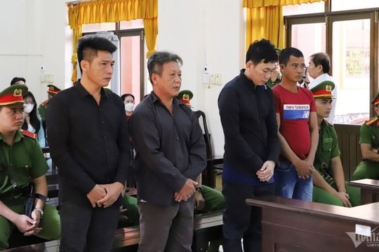 Đưa hàng chục người đi khai thác hải sản trái phép, 4 bị cáo lĩnh 23 năm tù