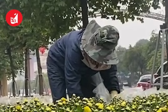 Thành phố Vinh trang trí đường hoa đón Tết