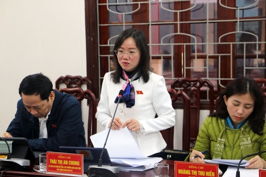 Đoàn đại biểu Quốc hội giám sát chuyên đề tại Sở Nội vụ 